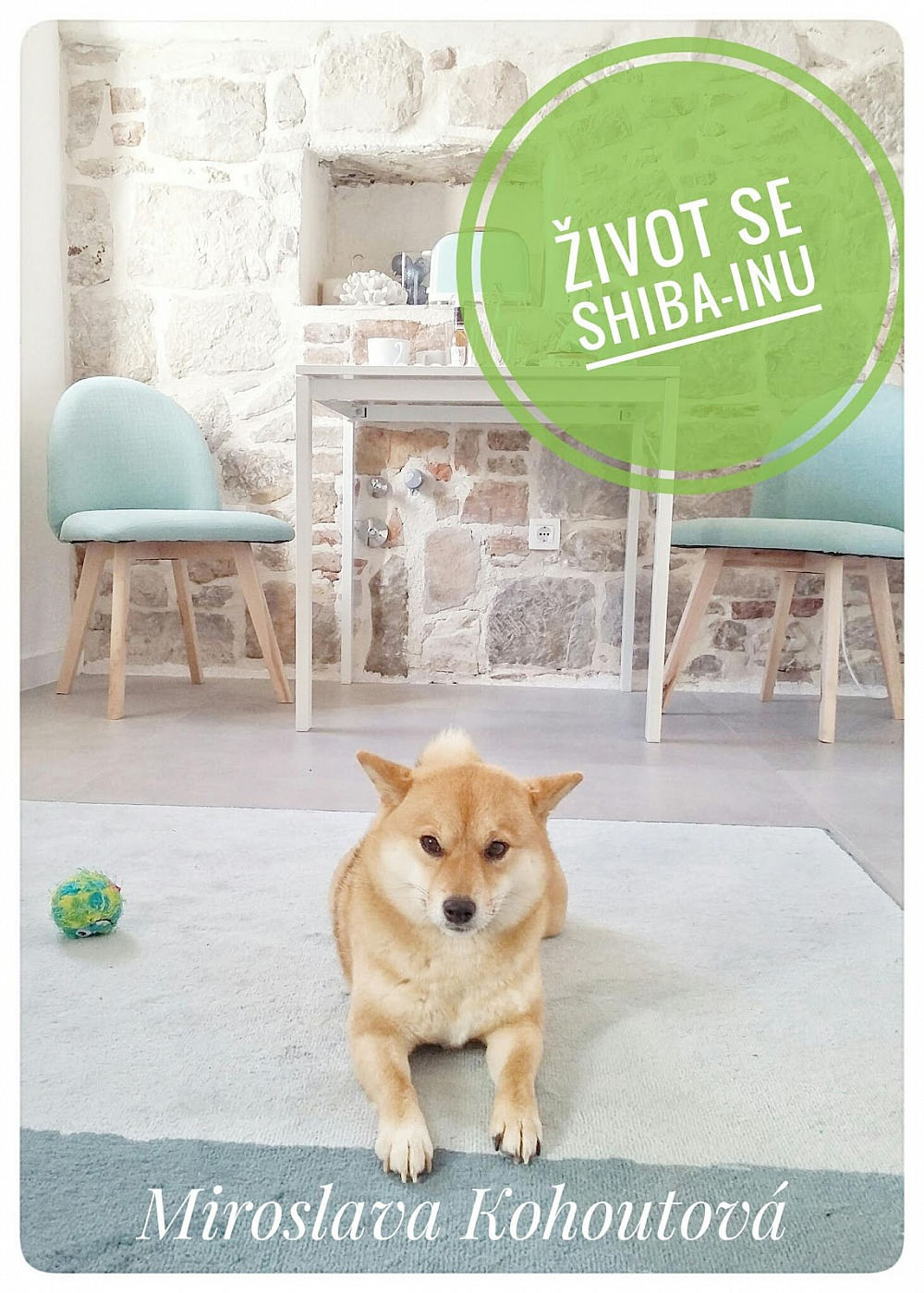 Život se shiba-inu