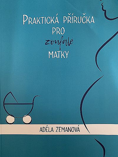 Praktická příručka pro zoufalé matky