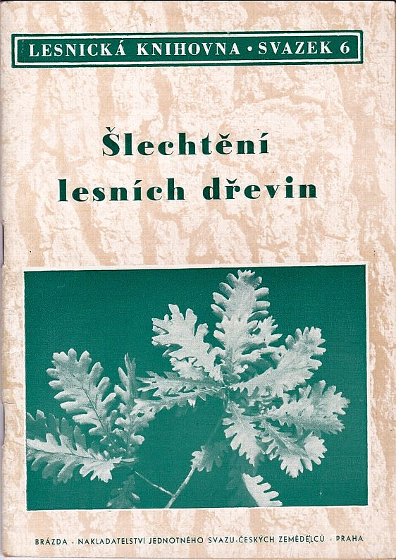 Šlechtění lesních dřevin