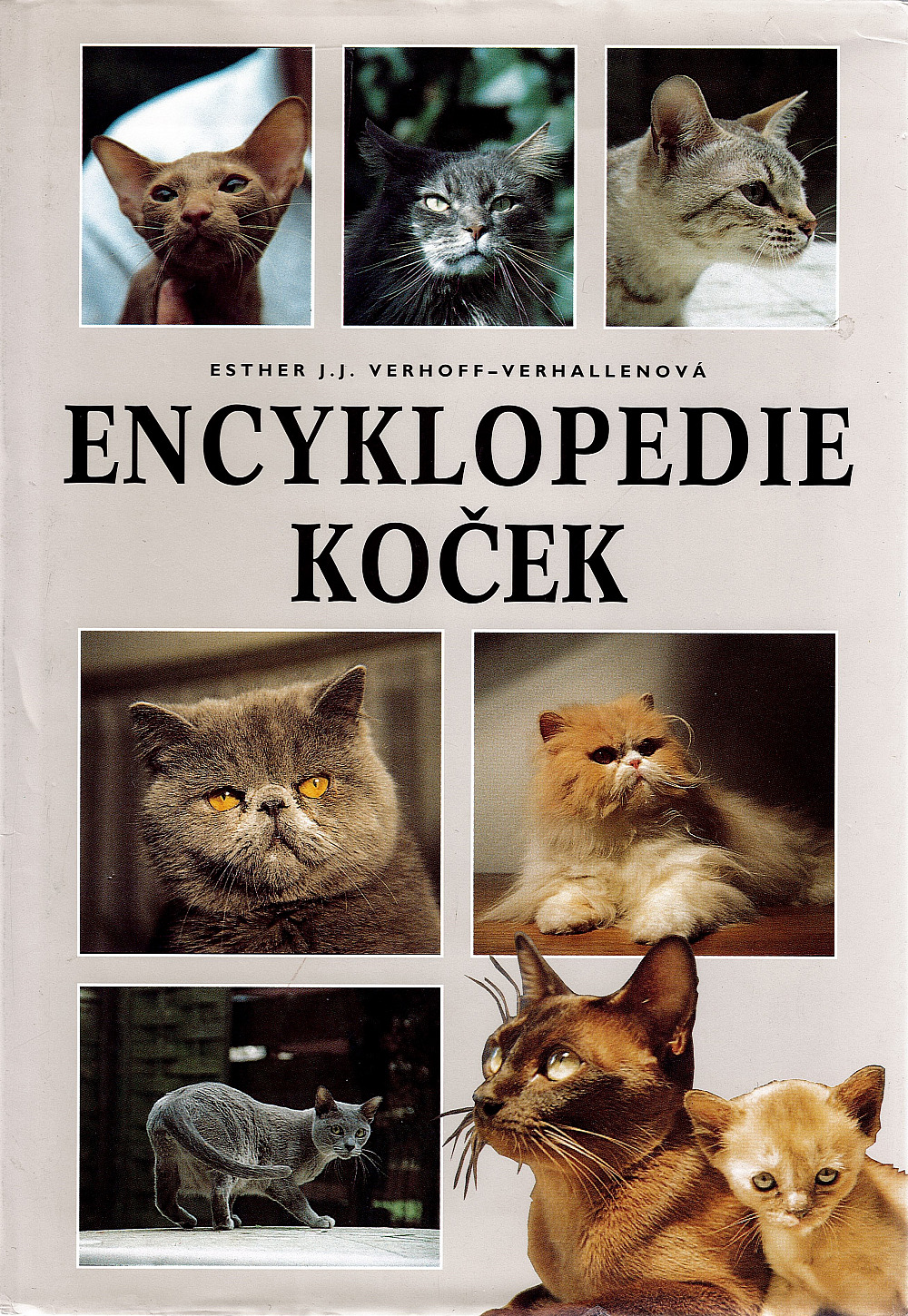 Encyklopedie koček