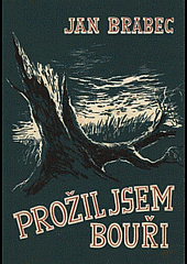 Prožil jsem bouři