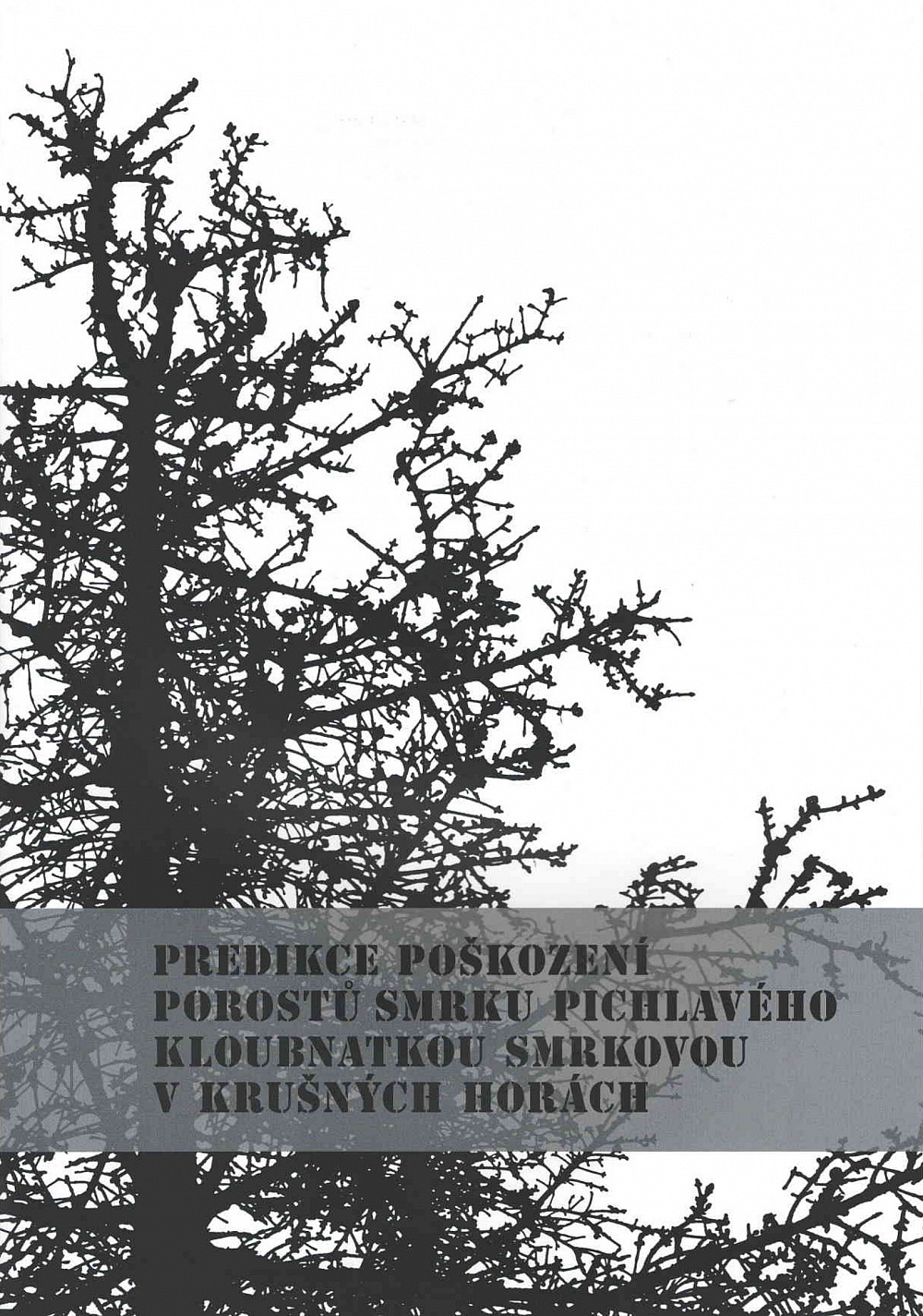 Predikce poškození porostů smrku pichlavého kloubnatkou smrkovou v Krušných horách