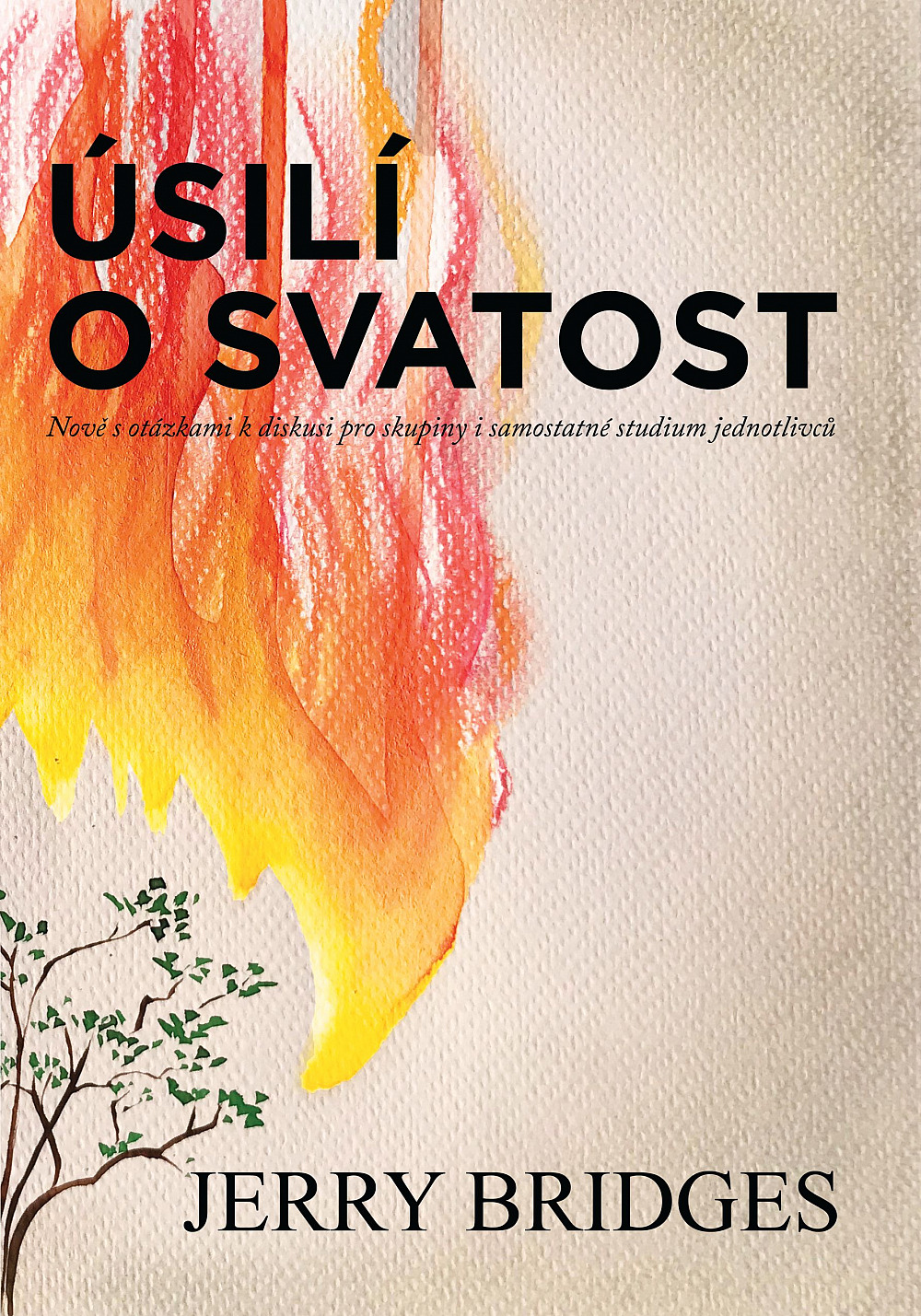 Úsilí o svatost