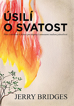 Úsilí o svatost