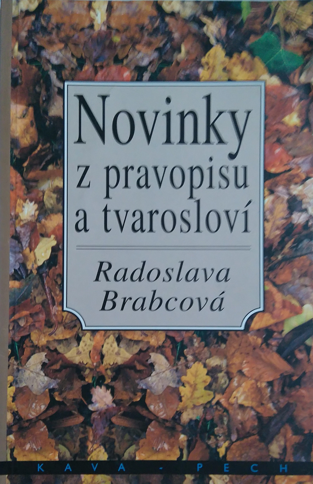 Novinky z pravopisu a tvarosloví