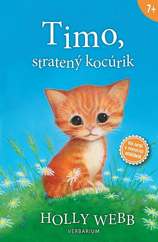 Timo, stratený kocúrik