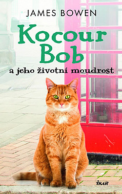 Kocour Bob a jeho životní moudrost