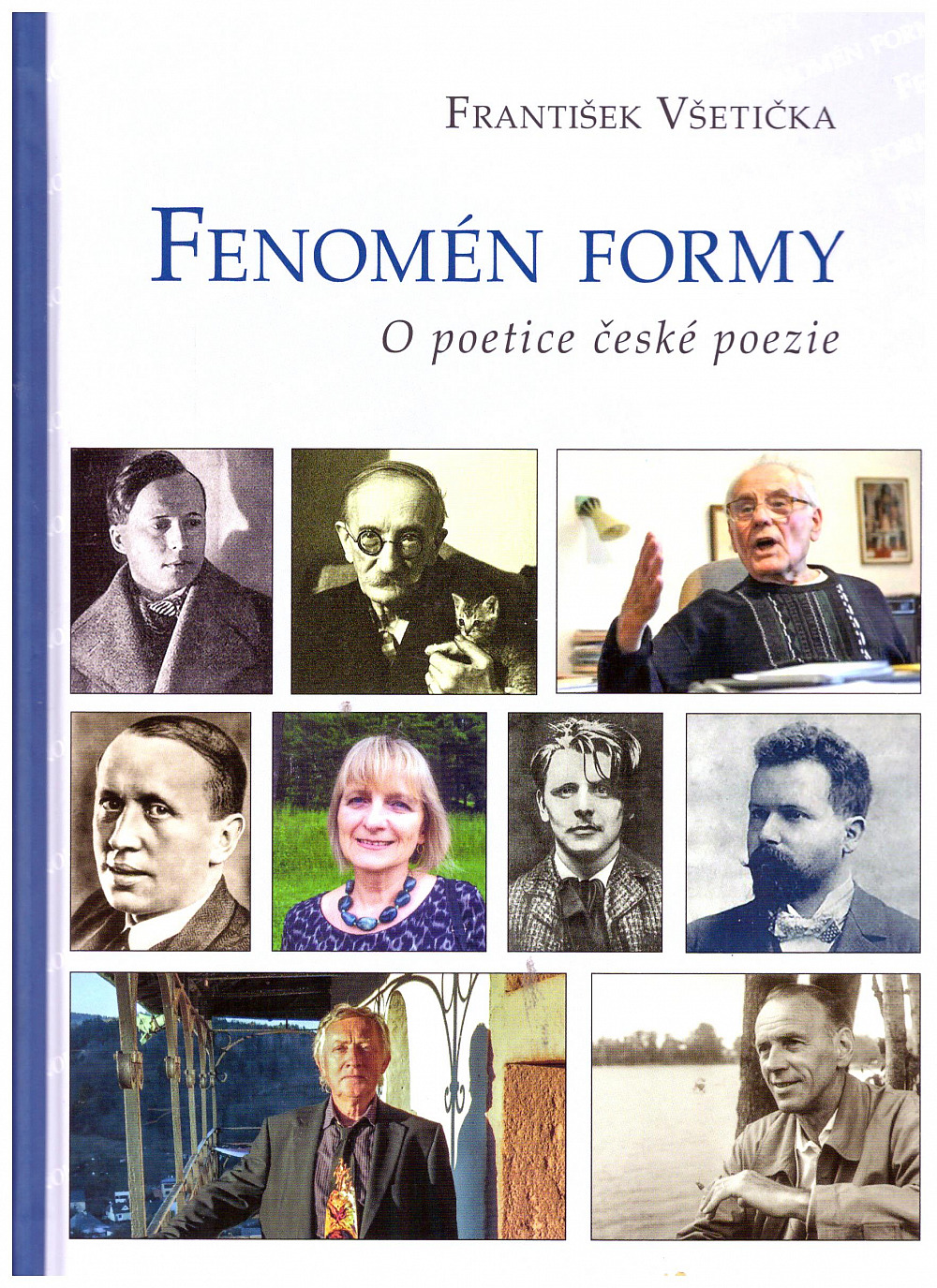 Fenomén formy