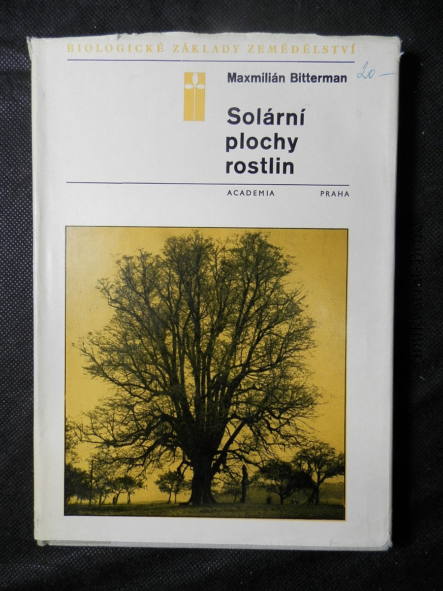 Solární plochy rostlin: ukazatel optimálního tvaru skleníků a oken