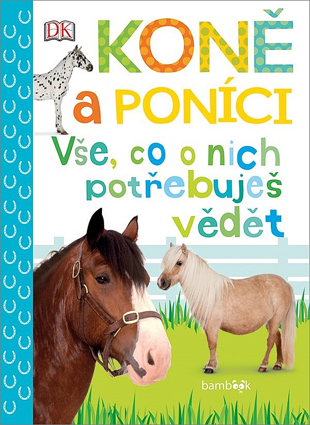 Koně a poníci – Vše, co o nich potřebuješ vědět