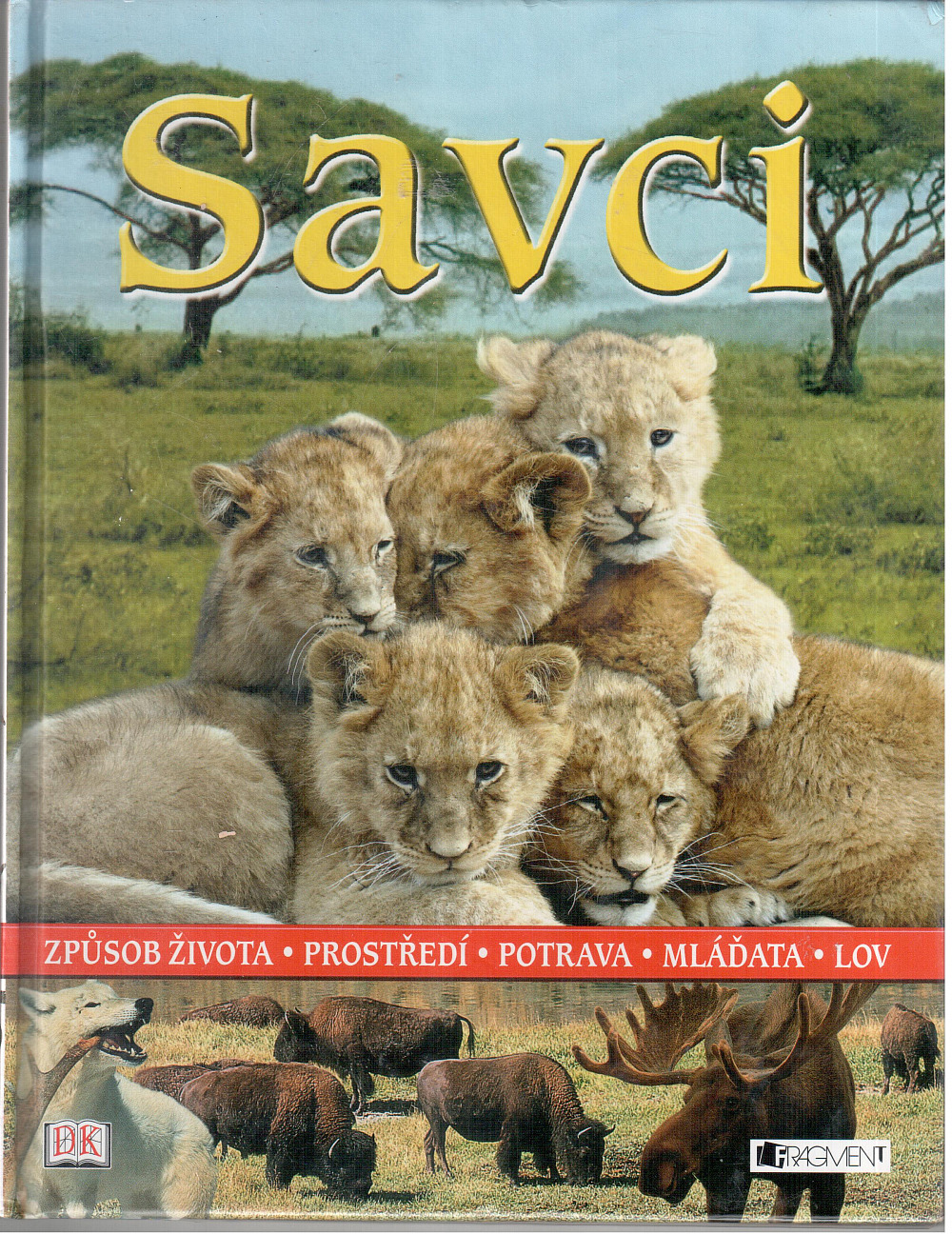 Savci