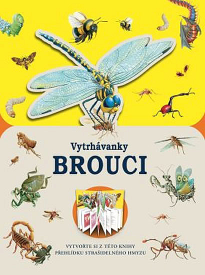 Vytrhávanky: Brouci