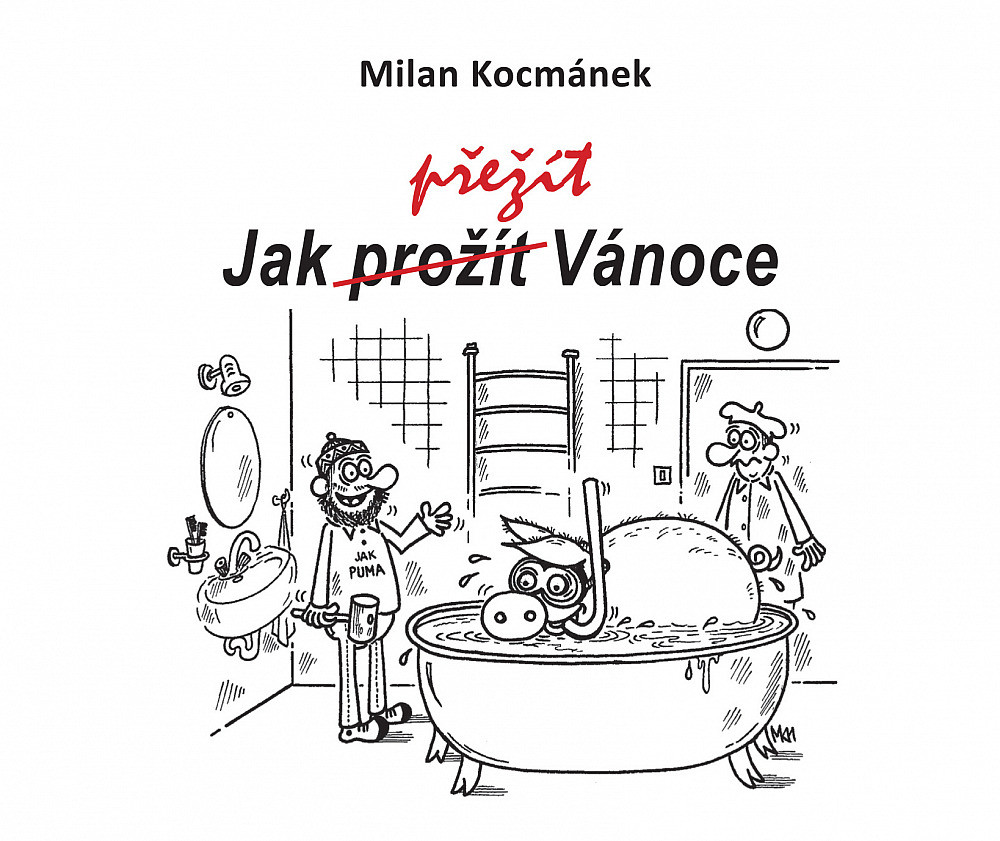 Jak prožít (přežít) Vánoce