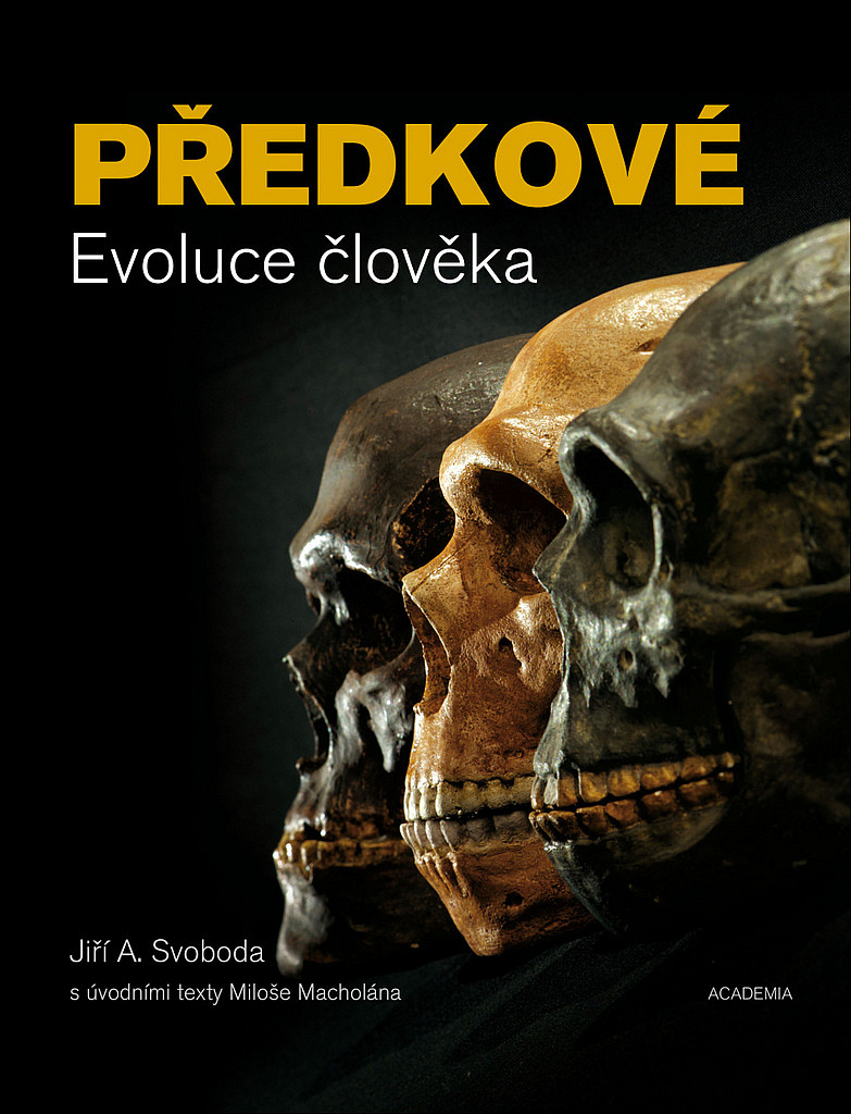 Předkové: Evoluce člověka