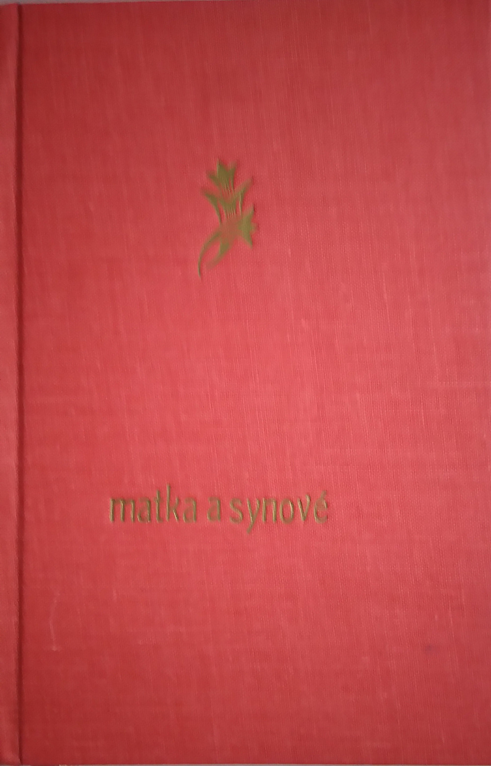 Matka a synové