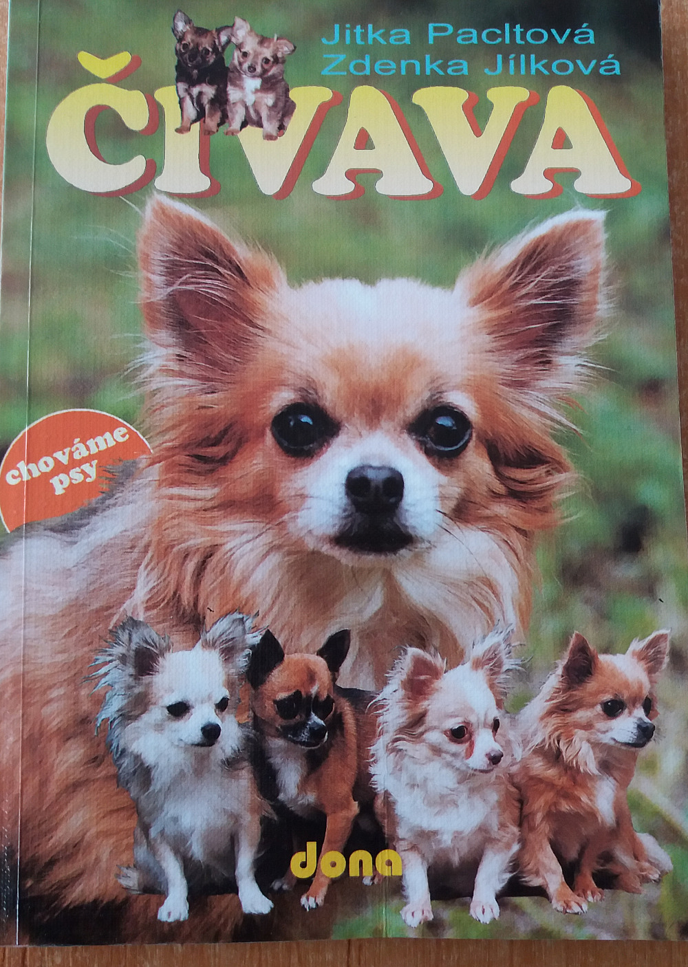 Čivava