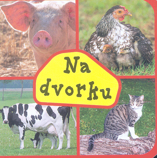 Na dvorku