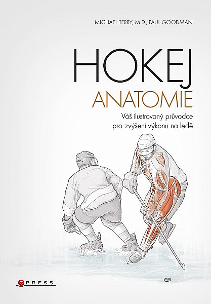 Hokej - anatomie