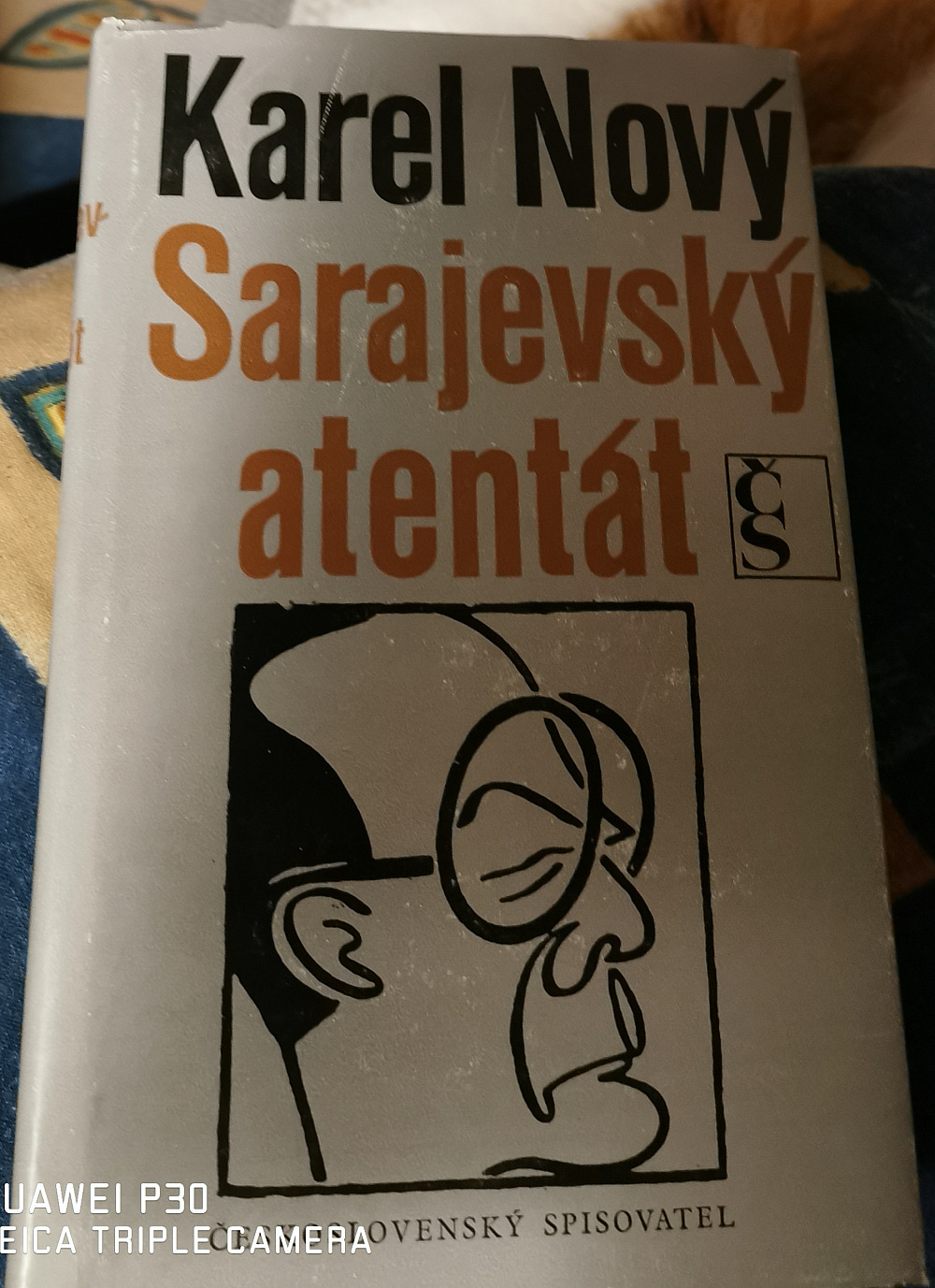 Sarajevský atentát