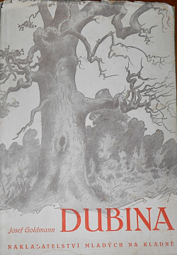 Dubina