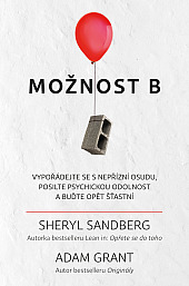 Možnost B