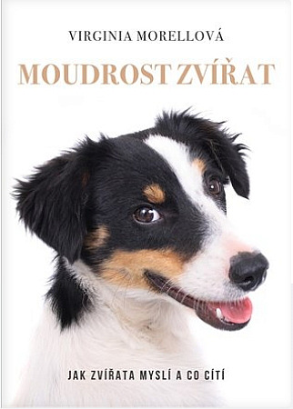 Moudrost zvířat - Jak zvířata myslí a co cítí