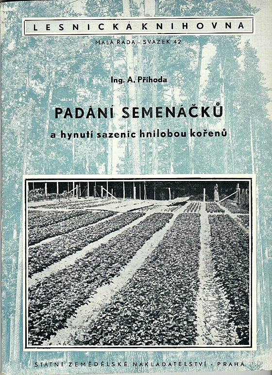 Padání semenáčků a hynutí sazenic hnilobou kořenů