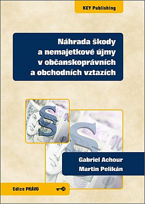 Náhrada škody a nemajetkové újmy v občanskoprávních a obchodních vztazích