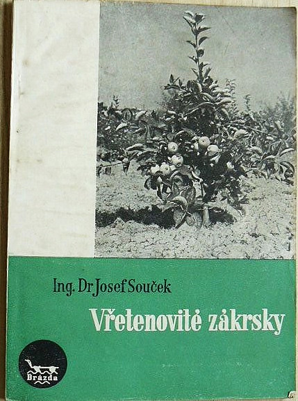 Vřetenovité zákrsky