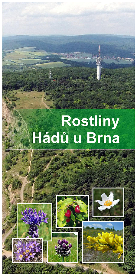 Rostliny Hádů u Brna