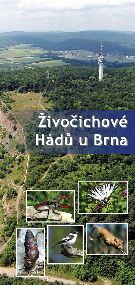 Živočichové Hádů u Brna