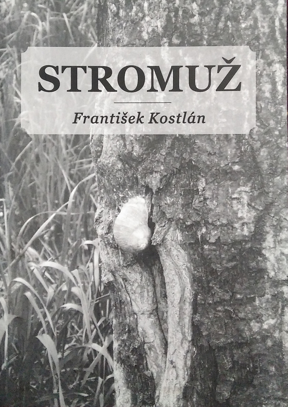 Stromuž