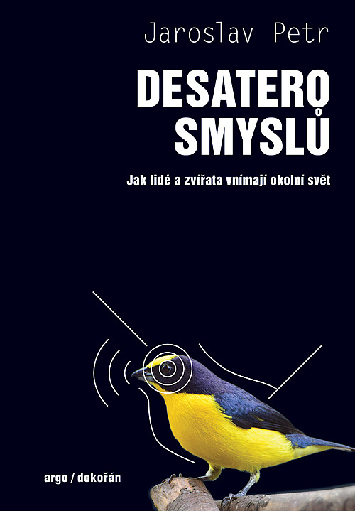 Desatero smyslů: Jak lidé a zvířata vnímají okolní svět