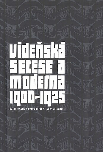 Vídeňská secese a moderna 1900–1925