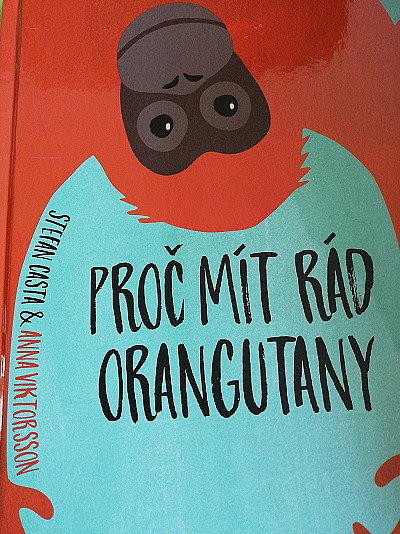 Proč mít rád orangutány