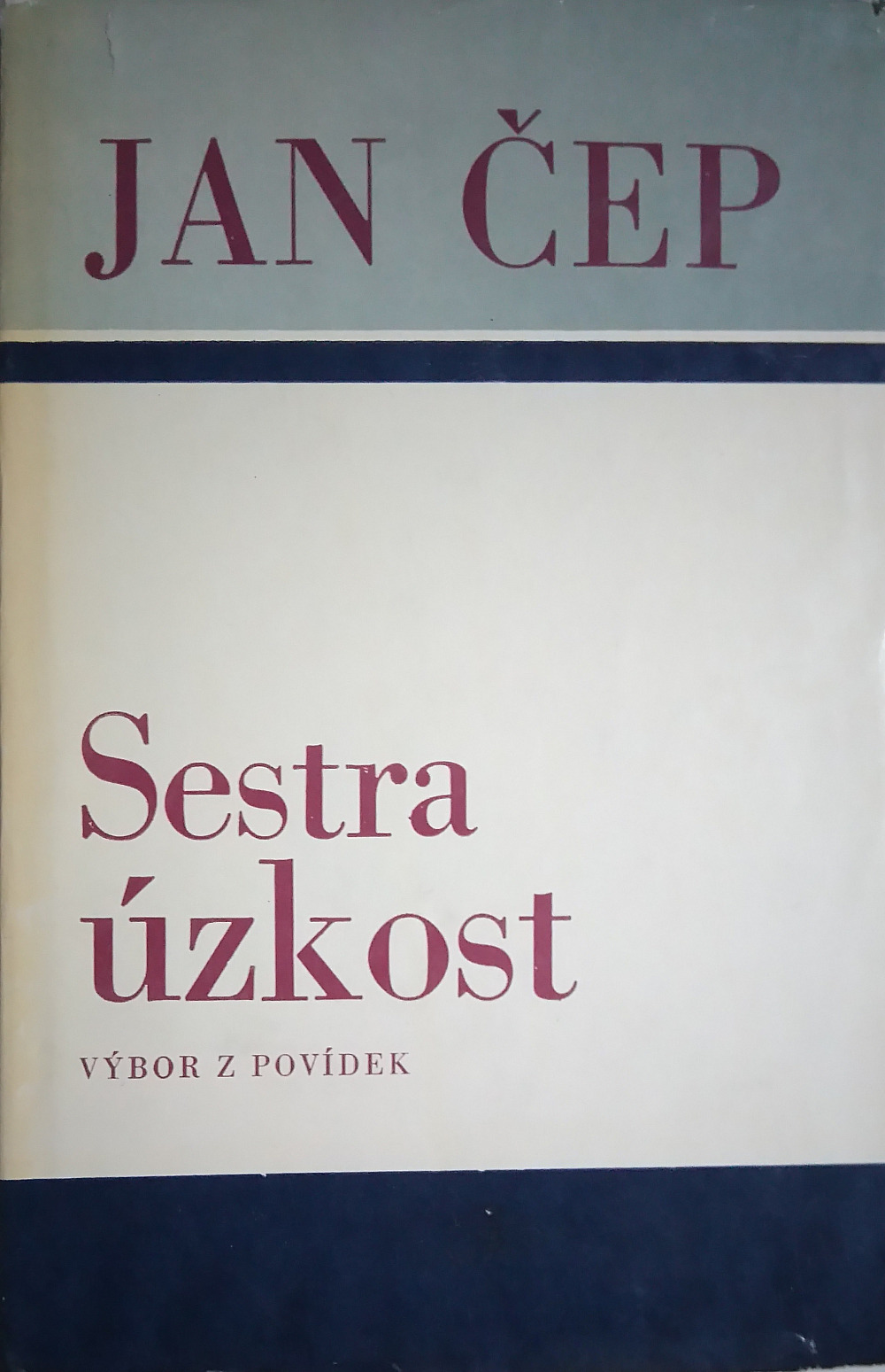 Sestra úzkost