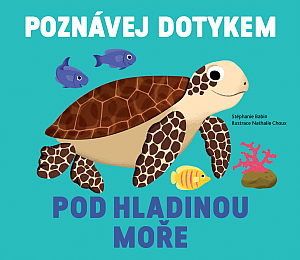 Pod hladinou moře