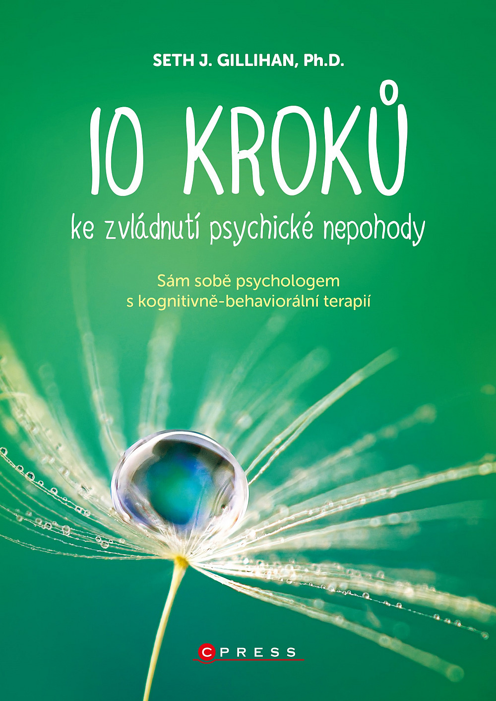 10 kroků ke zvládnutí psychické nepohody: Sám sobě psychologem s kognitivně behaviorální terapií