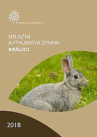 Králíci