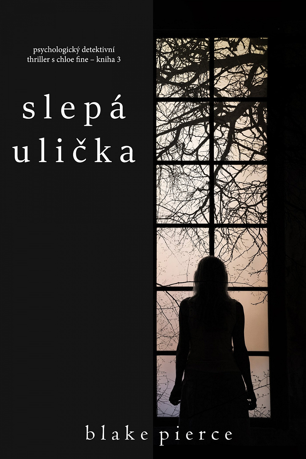 Slepá ulička