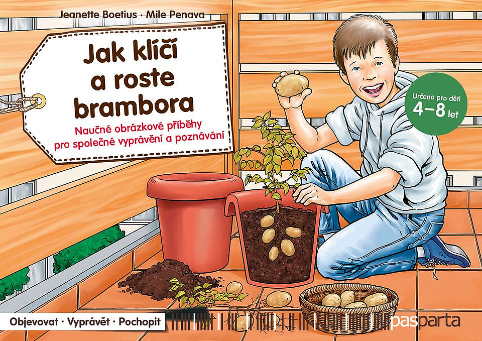 Jak klíčí a roste brambora