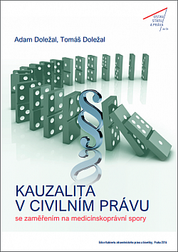 Kauzalita v civilním právu se zaměřením na medicínskoprávní spory