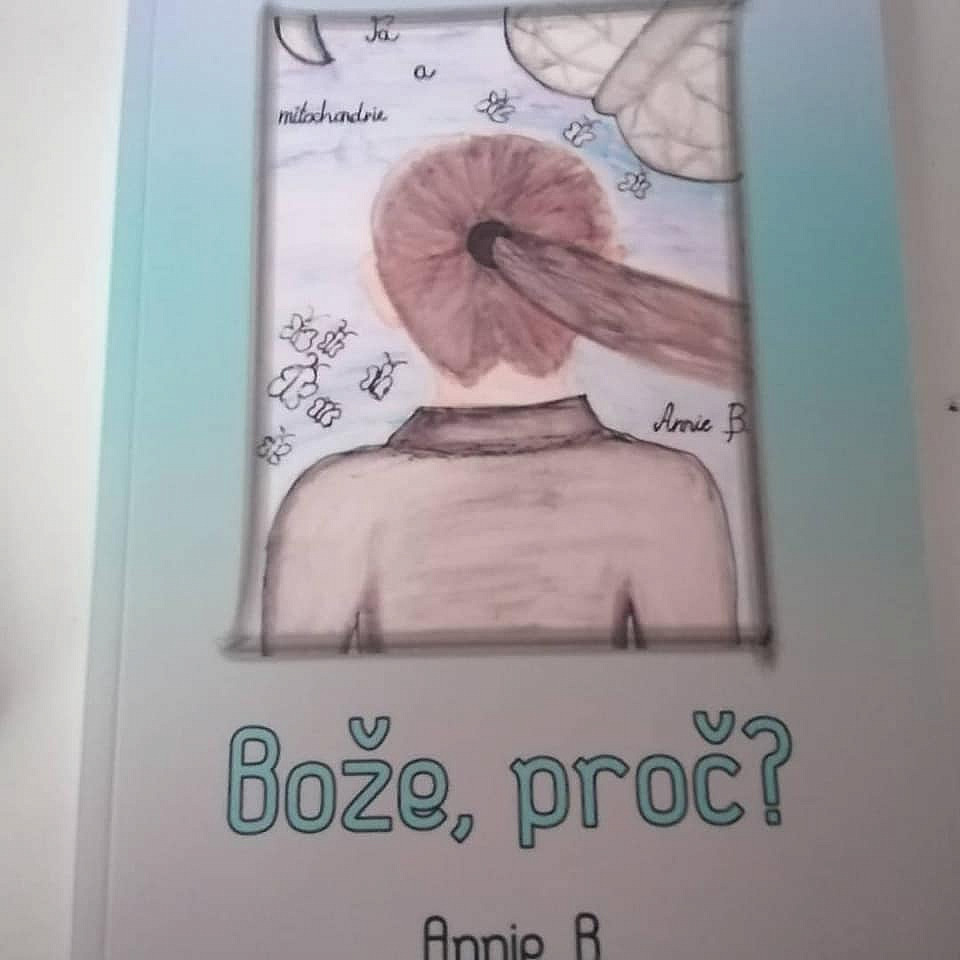 Bože, proč?