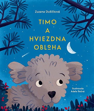 Timo a hviezdna obloha