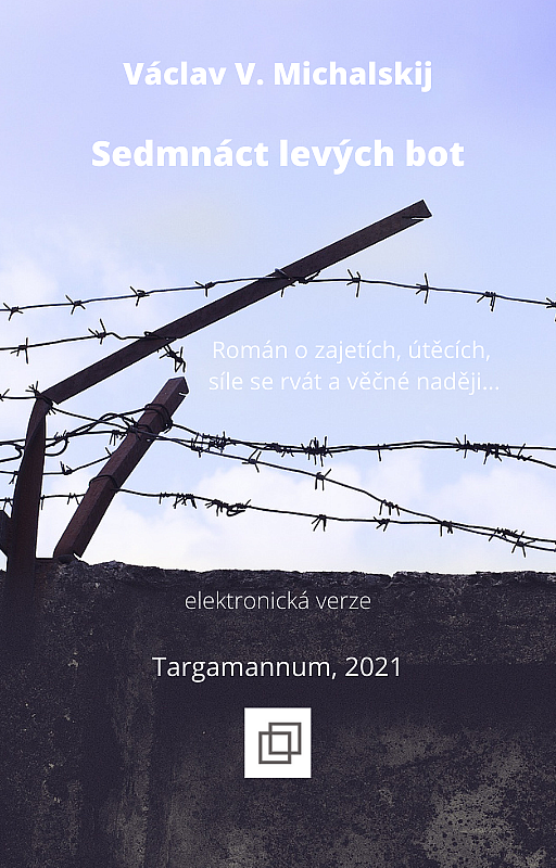 Sedmnáct levých bot