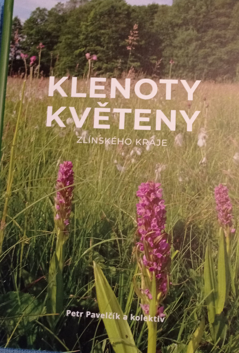 Klenoty květeny Zlínského kraje