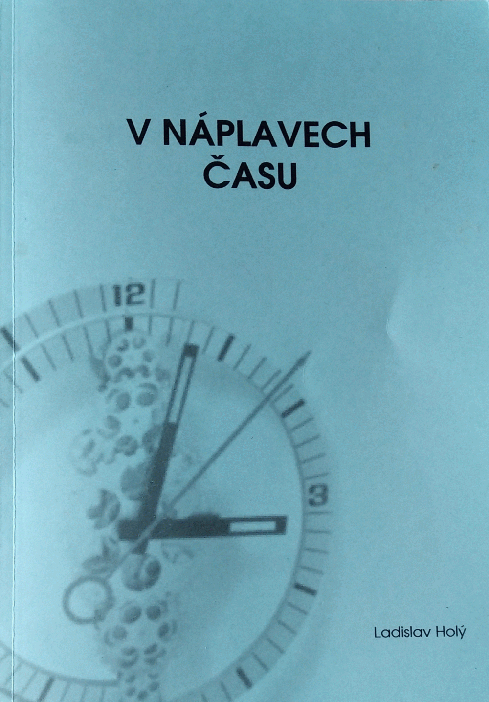 V náplavech času