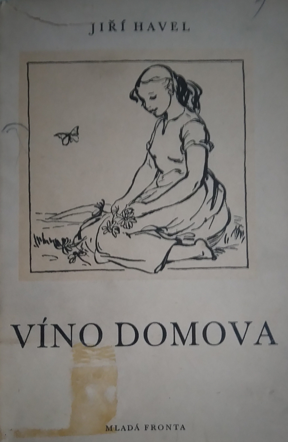 Víno domova