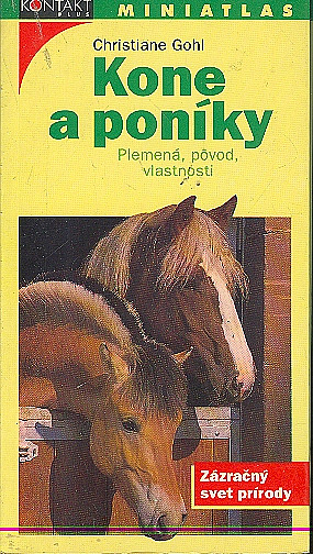 Kone a poníky