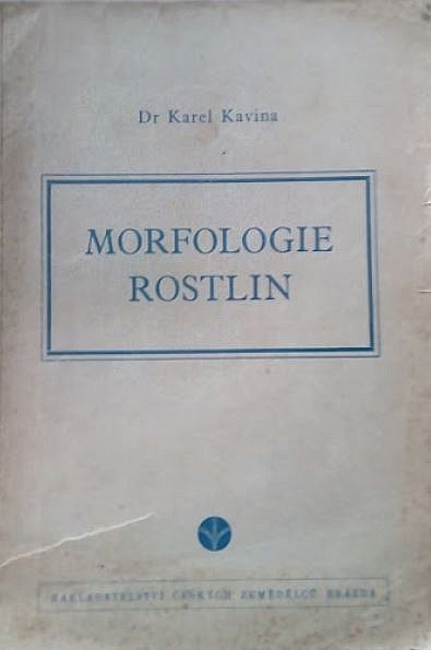 Morfologie rostlin